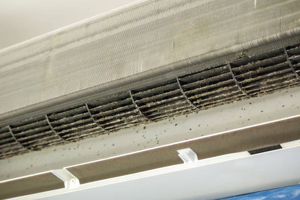 Best Best Air Duct Cleaning Company  in Woodburn, IN